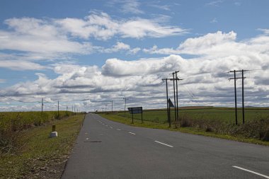 Straight tarred road through green sugar cane field