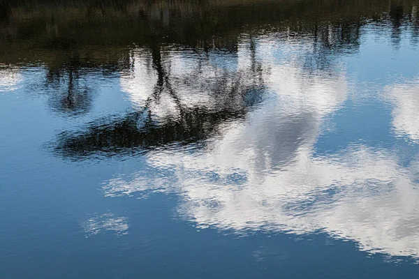 Réflexions Floues Arbre Dans Eau Étang — Photo