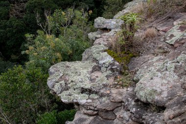 Aşağıdaki yeşil ormanlık vadiye tepeden bakan kaya çıkıntısı