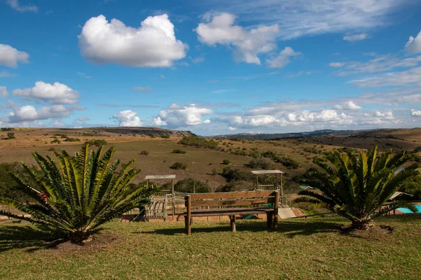 Güney Afrika Nın Tepelere Bakan Çalılarının Manzarası — Stok fotoğraf