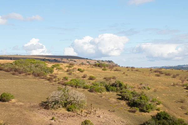 Utsikt Över Sydafrikanska Bushveld Dalen Nedanför — Stockfoto