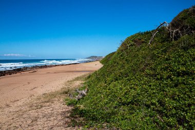 Sahilde kısayollu katmanlı kayalıklı bitki örtüsü