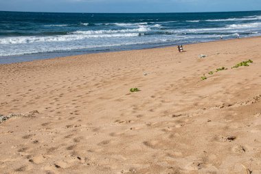 Sahildeki ayak izleri derin mavi denizle birlikte.