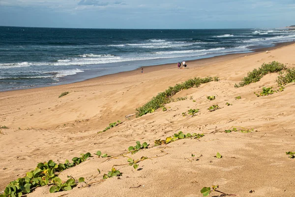 Menschen Die Mit Blauen Augen Auf Einem Breiten Strandabschnitt Spazieren — Stockfoto