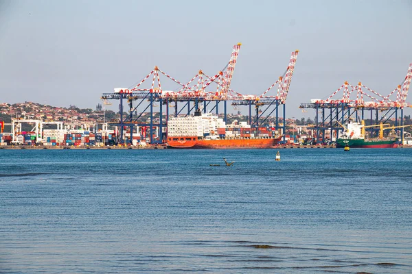 Navires Charge Quai Dans Port Durban — Photo
