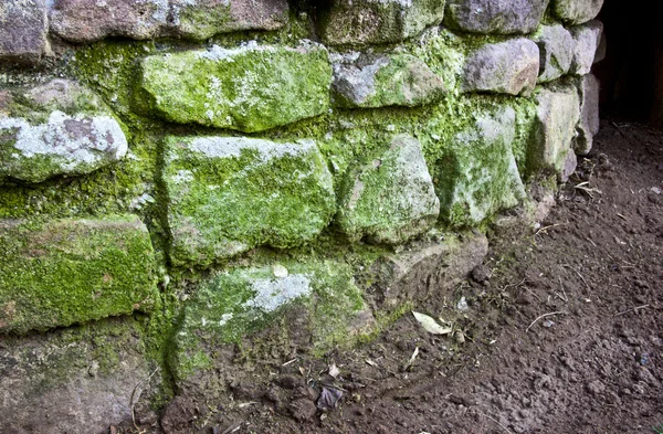 Вигнутий камінь підпірна стіна, вкрита зеленим мохом — стокове фото