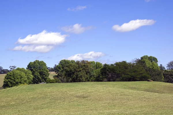 Rullande gräsytor på stranden av Midmar Dam — Stockfoto