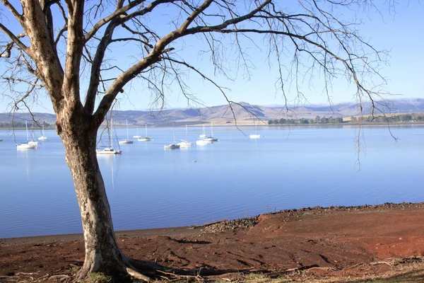 Ramas sin hojas que sobresalen de yates en la presa de Midmar — Foto de Stock