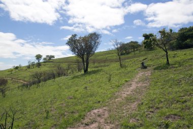 yeşil çim kaplı hillside doğa rezerv