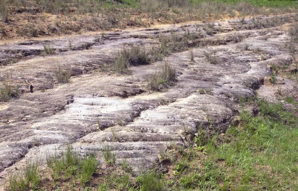 Formación de piedras en el suelo de la reserva natural —  Fotos de Stock