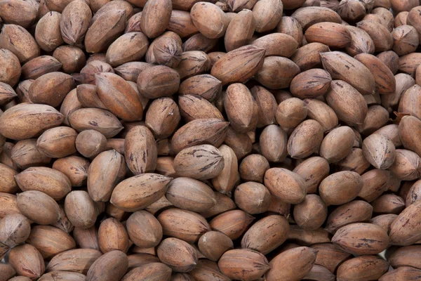 Closeup of Pecan Nuts Stacked in a Pile — Stock Photo, Image