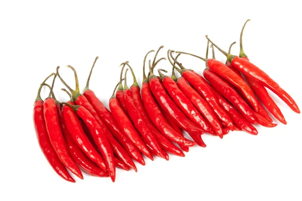 Fila di peperoncini caldi brillanti rosso brillante — Foto Stock