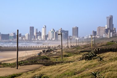 Dune rehabilitasyon Durban'ın Golden Mile üzerinde görünümünü