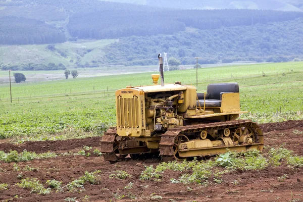 Vintage Yellow Diesel Forty Caterpillar on Display — Stock Photo, Image