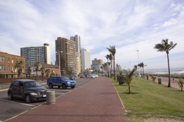 park etmiş araçlar palm ağaçlar ve şehir manzarası Durban