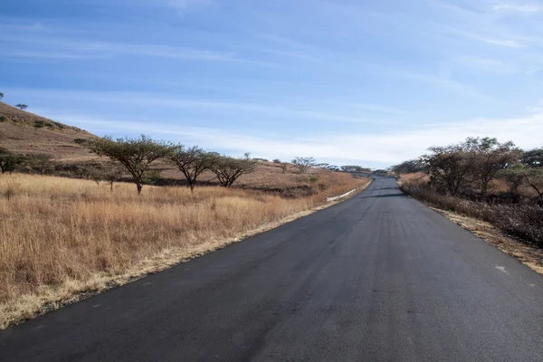 Camino recién asfaltado forrado con hierba seca y árboles de espina — Foto de Stock