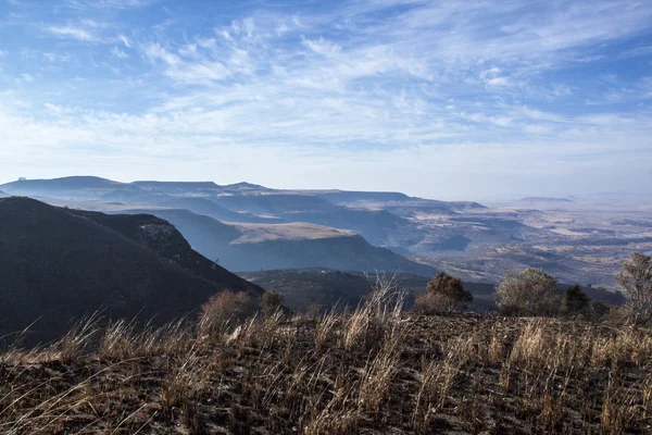 Collines et vallées tôt le matin avec brosse sèche au premier plan Images De Stock Libres De Droits