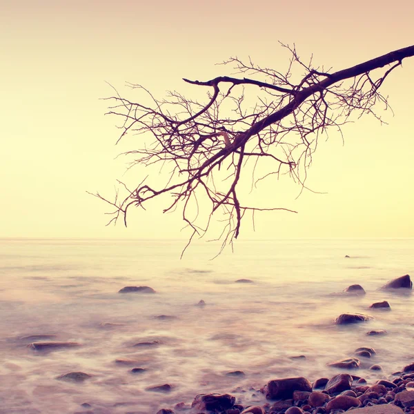 Romantyczny zachód słońca kolorowe na morze faliste. Żwirowa plaża z drzewa i różowe niebo w lustro wody — Zdjęcie stockowe