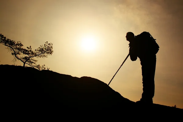 Turist med sportig ryggsäck och polackerna i händerna stå på rock tittar upp till kullen för nästa steg. Soliga våren gryning i bergen. — Stockfoto