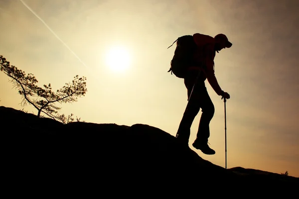 남자 등산객 확인 단계, 부츠와 기둥에 다리. 산 정상 바위에 화창한 날입니다. 작은 소나무 분재 — 스톡 사진