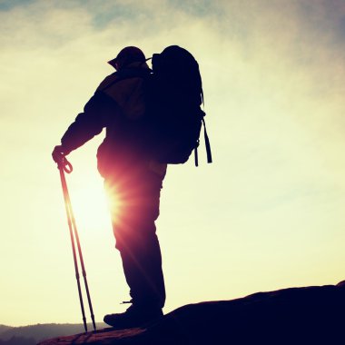Adam hiker trekking Polonyalılar ile dağ en yüksek kayanın üzerinde durun. Küçük çam bonsai ağacı rock, Bahar güneşli gün büyür
