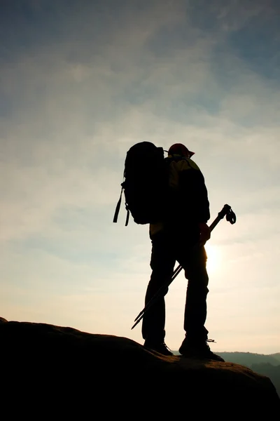 Man vandrare med vandringsstavar stå på mountain peak rock. Små pine bonsaiträd växer i rock, våren solig dag — Stockfoto