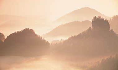 Pembe daybreak manzara içinde. Puslu sabah güzel Hills. Sis tepelerde doruklarına