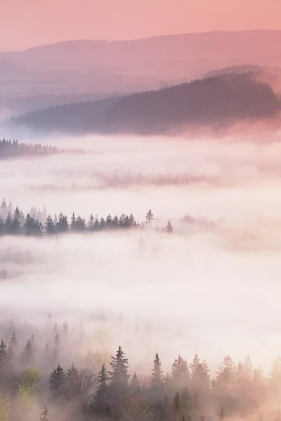 Fantastic dreamy sunrise on the top of the rocky mountain with the view into misty valley — Stock Photo, Image