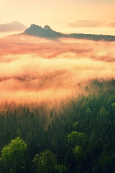 Fantastiska drömmande sunrise på toppen av den steniga bergen med vyn in dimmiga dalen — Stockfoto