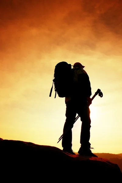Человек-турист с треккинговыми столбами стоит на горной скале. Маленькая сосна бонсай растет в скале, весенний солнечный день — стоковое фото