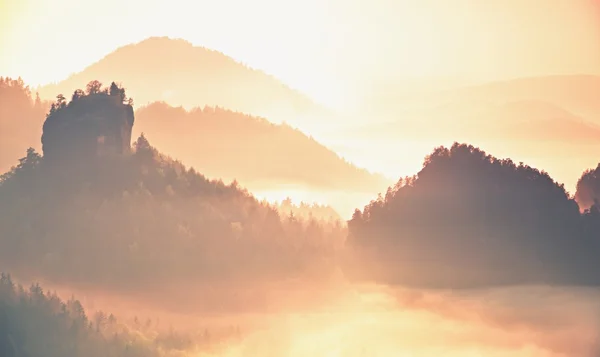 Rosa Tagesanbruch in der Landschaft. nebliger Morgen in wunderschönen Hügeln. Gipfel der Hügel im Nebel — Stockfoto