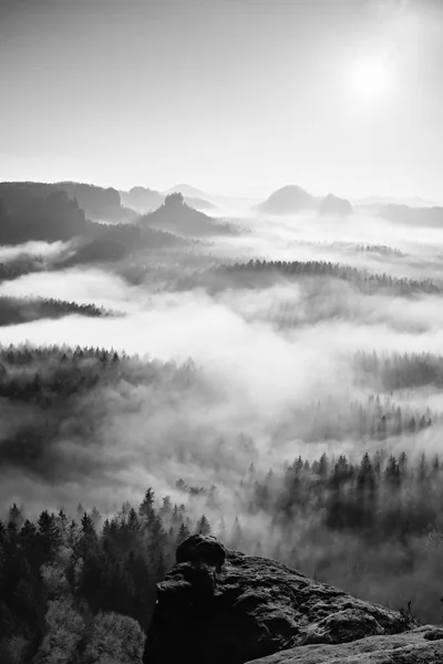 Fantastica alba sulla cima della montagna rocciosa con vista sulla nebbiosa valle. Bianco e nero — Foto Stock