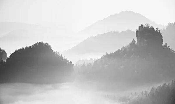 Pink daybreak in landscape.  Misty morning in  beautiful hills. Peaks of hills in  fog — Stock Photo, Image