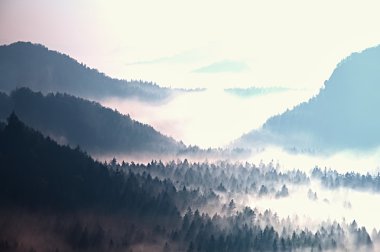 Baharın başlangıcı. Rocky dağlarında gizli derin vadi yukarıda harika rüya gibi gündoğumu. Bahar puslu günü