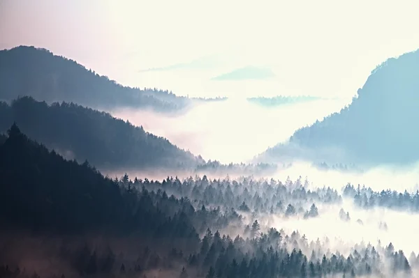 Beginning of spring. Fantastic dreamy sunrise above deep valley hidden in the rocky mountains . Spring misty day