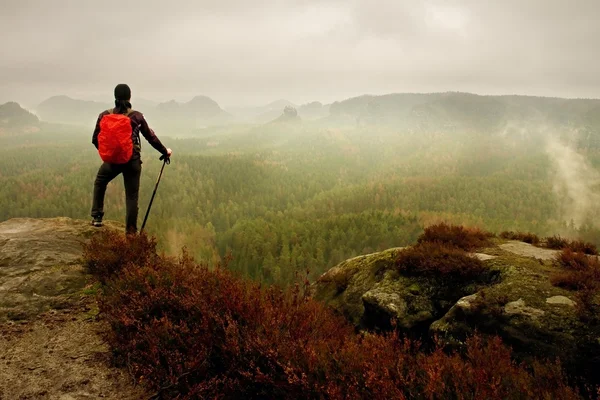 Caminhante homem com postes de trekking e mochila vermelha na rocha. Velhos arbustos de urze cresce em rocha — Fotografia de Stock