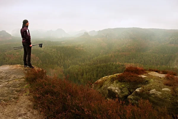 Man hiker in dark sportswear and poles stand on mountain peak rock. Red heather bushes — Stock Photo, Image