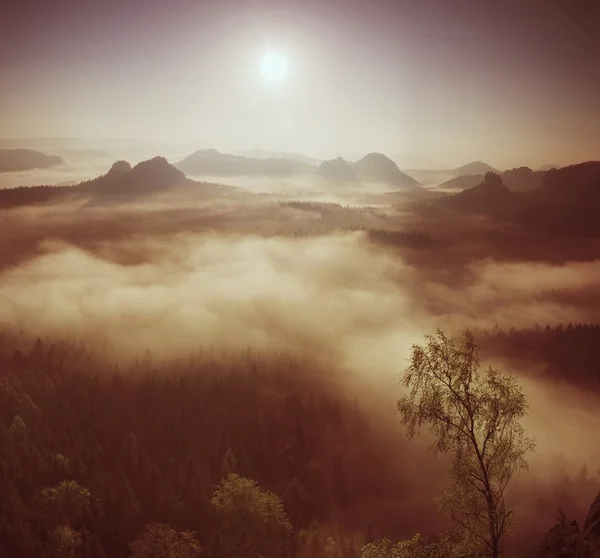 Marvolous czerwony świt. Mglisty brzask w pięknych wzgórz. Szczytami wzgórz są wystające z mglisty tło, mgła jest czerwony i pomarańczowy z promieni słonecznych. — Zdjęcie stockowe