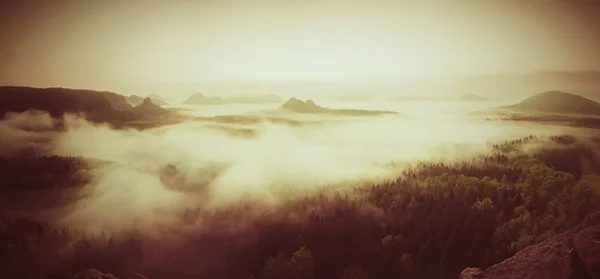 Paysage panorama brumeux. Fantastique lever de soleil rêveur au-dessus de la vallée brumeuse de fées — Photo