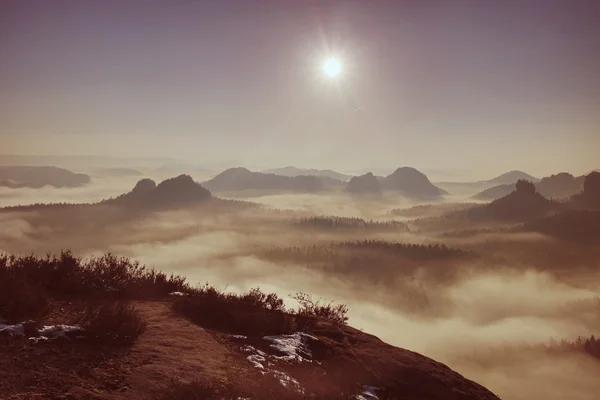 Dromerige mistige landschap. majestueuze berg knippen de verlichting mist. diepe vallei zit vol met kleurrijke mist en rotsachtige heuvels zijn steken aan zon. prachtige herfst ochtend. — Stockfoto