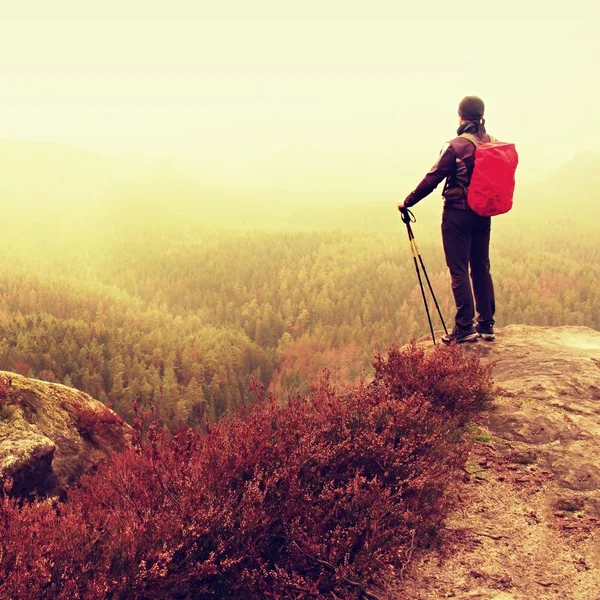 Wandersmann mit Wanderstöcken und rotem Rucksack am Fels. alte Heidekrautbüsche wächst in Fels — Stockfoto