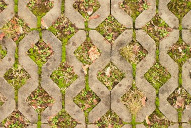 arka plan olarak bir yeşil çim ile taş kaldırım.