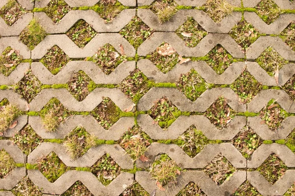 Steinbürgersteig mit grünem Gras als Hintergrund. — Stockfoto