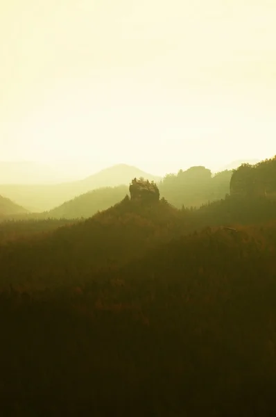 Blick ins tief vernebelte Tal. Bäume und Hügel aus nebligem Hintergrund. — Stockfoto
