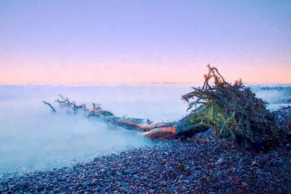Suluboya boya etkisi. Yalnız düşmüş ağaç boş taşlı sahil şeridi üzerinde. Pürüzsüz dumanlı su seviyesinden pembe gökyüzü. — Stok fotoğraf