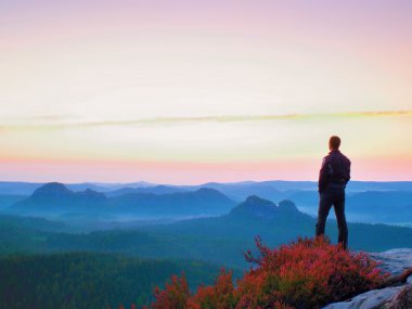 Heather bush ile Uçurumdaki siyah uzun boylu adam. Keskin rocky Dağları Parkı