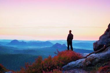 Heather bush ile Uçurumdaki siyah uzun boylu adam. Keskin rocky Dağları Parkı