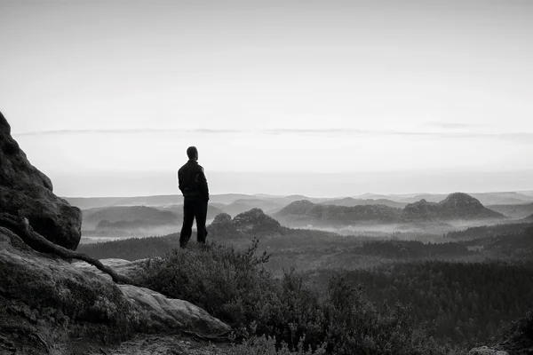 Vysoký muž v černém na útesu s heather Bushem. Ostré park rocky mountains — Stock fotografie