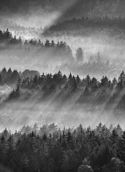 Κρύο πρωινό στα τέλη του καλοκαιριού. Πολύχρωμο καλοκαίρι πρωί με ισχυρή χρυσές ακτίνες και πολύχρωμο ομίχλη ανάμεσα σε λόφους — Φωτογραφία Αρχείου
