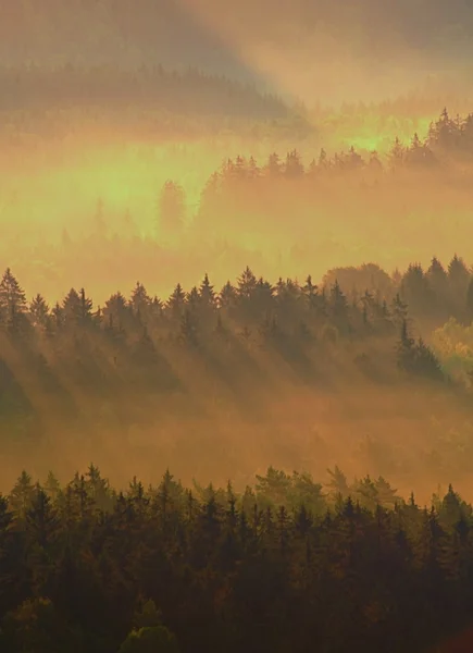 Cold morning at the end of summer. Colorful summer morning with strong golden rays and colorful fog between hills — Stock Photo, Image